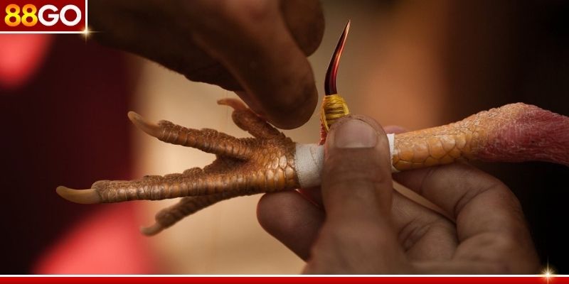 Học hỏi kinh nghiệm từ cao thủ để đưa ra quyết định chuẩn nhất