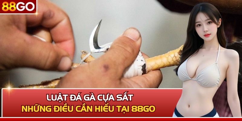 Luật Đá Gà Cựa Sắt Và Những Điều Bạn Cần Hiểu Tại 88GO