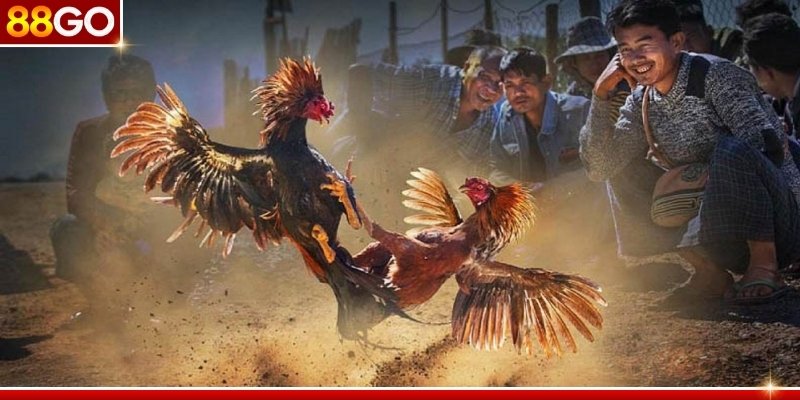 Mức thưởng minh bạch và mang lại cơ hội kiếm lời cao