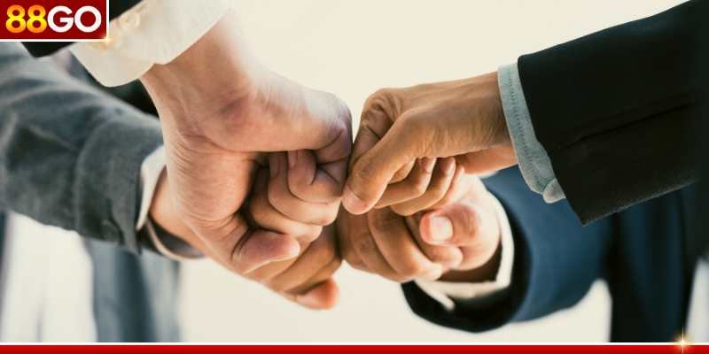 Vai trò và nghĩa vụ của hội viên